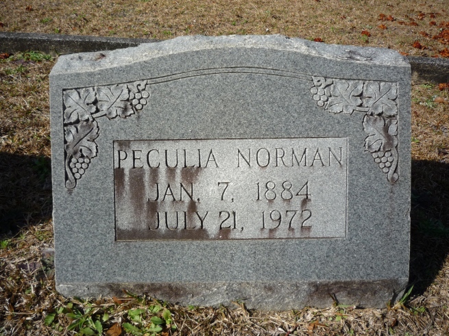 Taken at the Dyal Cemetery near Starke, FL. I was drawn by the name. Who names their child Peculia?
